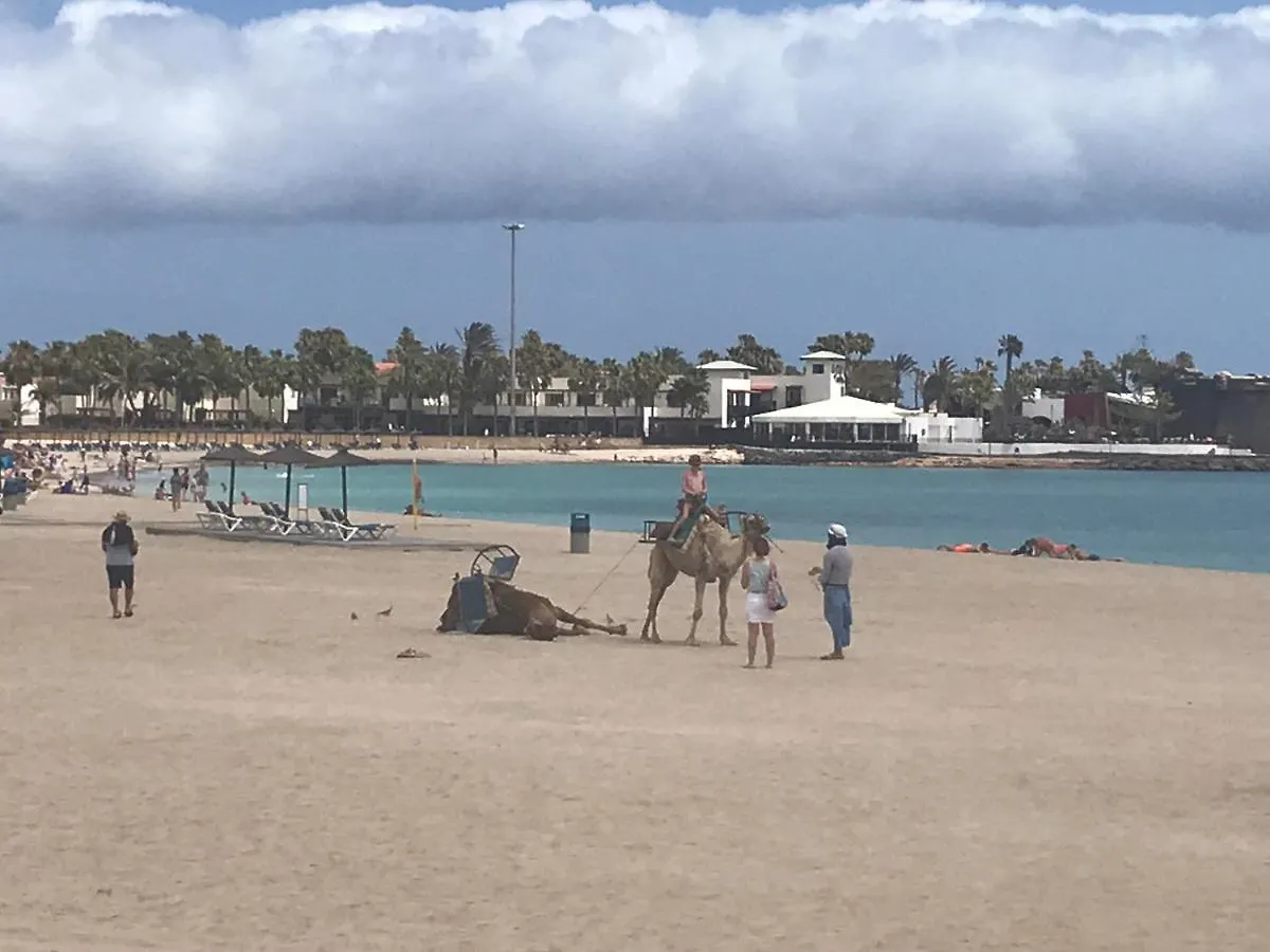 Vivienda Vacacional Delia Castillo 5A Caleta De Fuste Apartment